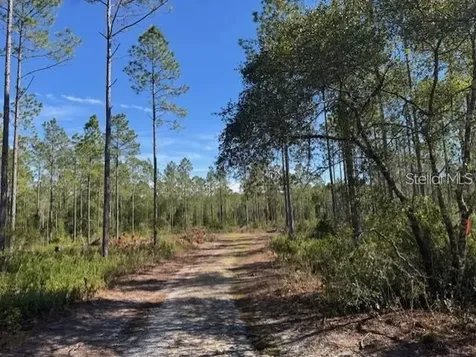 NE 150th Avenue Road Fort Mc Coy FL 32134