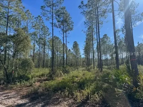 NE 150th Avenue Road Fort Mc Coy FL 32134