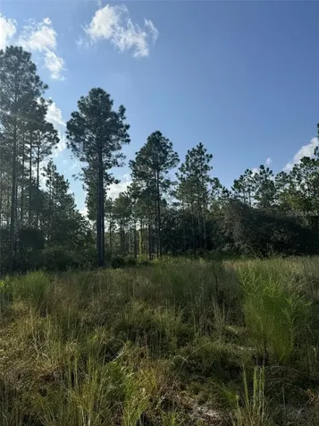 NE 150th Avenue Road Fort Mc Coy FL 32134