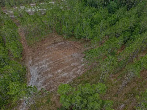 NE 150th Ave Road Fort Mc Coy FL 32134