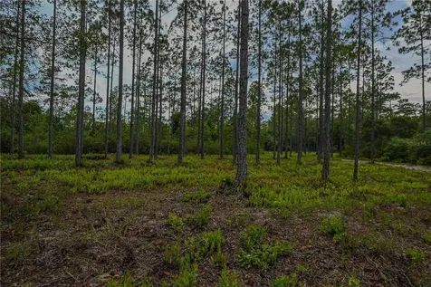 NE 150th Ave Road Fort Mc Coy FL 32134