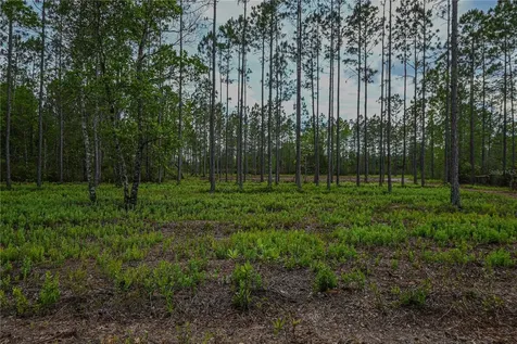 NE 150th Ave Road Fort Mc Coy FL 32134