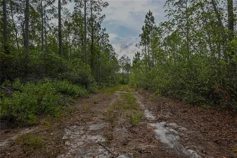 NE 150th Ave Road Fort Mc Coy FL 32134