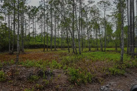 NE 150th Ave Road Fort Mc Coy FL 32134