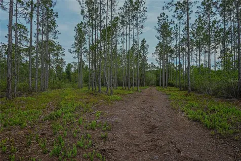 NE 150th Ave Road Fort Mc Coy FL 32134