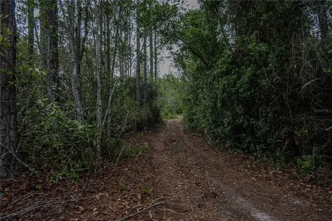 NE 150th Ave Road Fort Mc Coy FL 32134