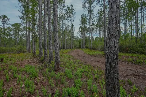 NE 150th Ave Road Fort Mc Coy FL 32134