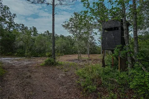 NE 150th Ave Road Fort Mc Coy FL 32134