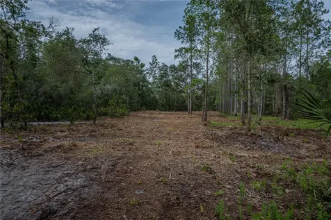 NE 150th Ave Road Fort Mc Coy FL 32134