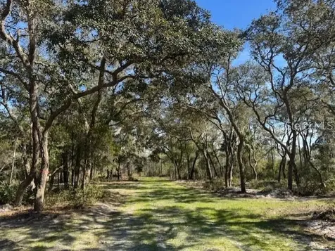 NE 150th Avenue Road Fort Mc Coy FL 32134