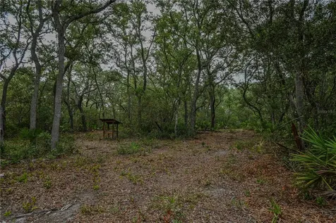 NE 150th Ave Road Fort Mc Coy FL 32134