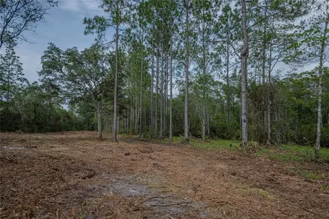 NE 150th Ave Road Fort Mc Coy FL 32134