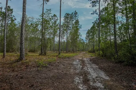 NE 150th Ave Road Fort Mc Coy FL 32134