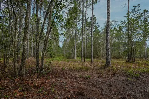 NE 150th Ave Road Fort Mc Coy FL 32134