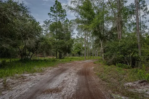 NE 150th Ave Road Fort Mc Coy FL 32134