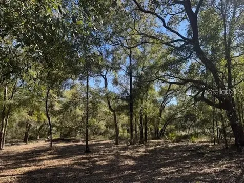 NE 150th Avenue Road Fort Mc Coy FL 32134