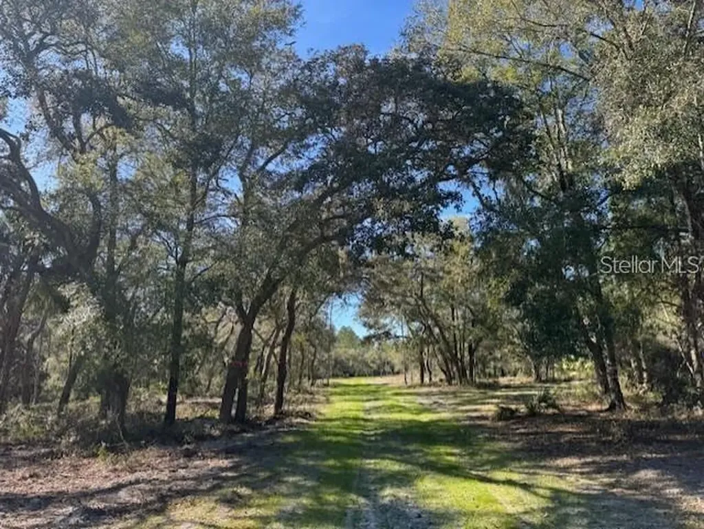 NE 150th Avenue Road Fort Mc Coy FL 32134