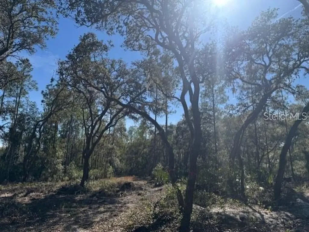 NE 150th Avenue Road Fort Mc Coy FL 32134