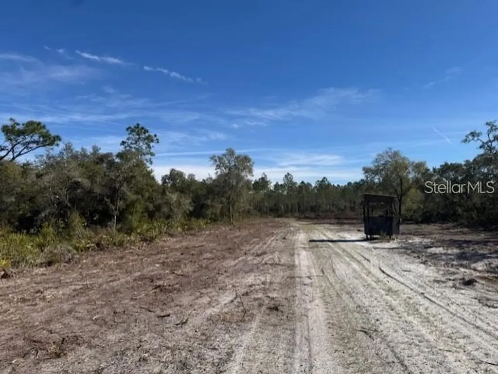 NE 150th Avenue Road Fort Mc Coy FL 32134