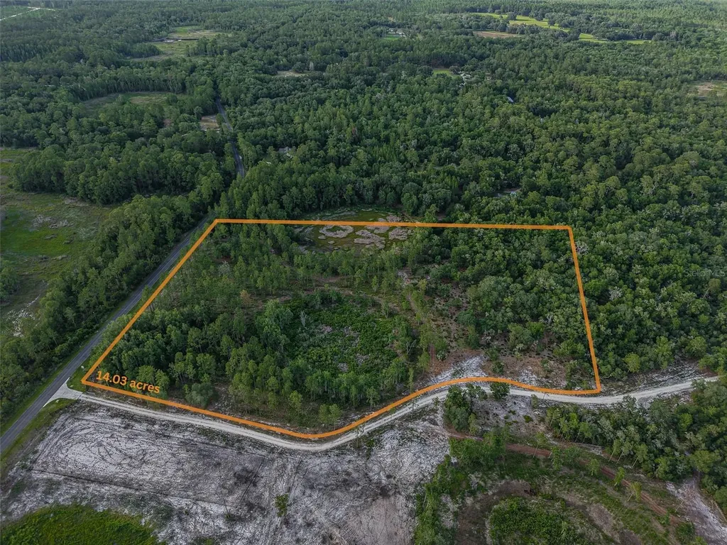NE 150th Ave Road Fort Mc Coy FL 32134