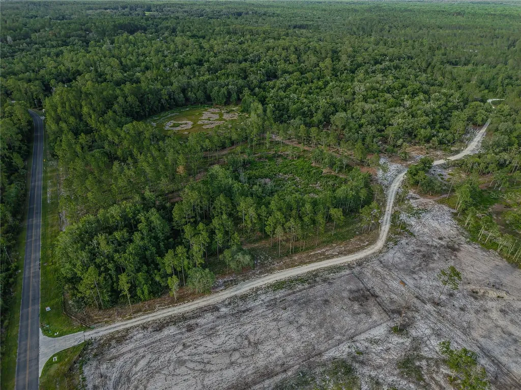 NE 150th Ave Road Fort Mc Coy FL 32134