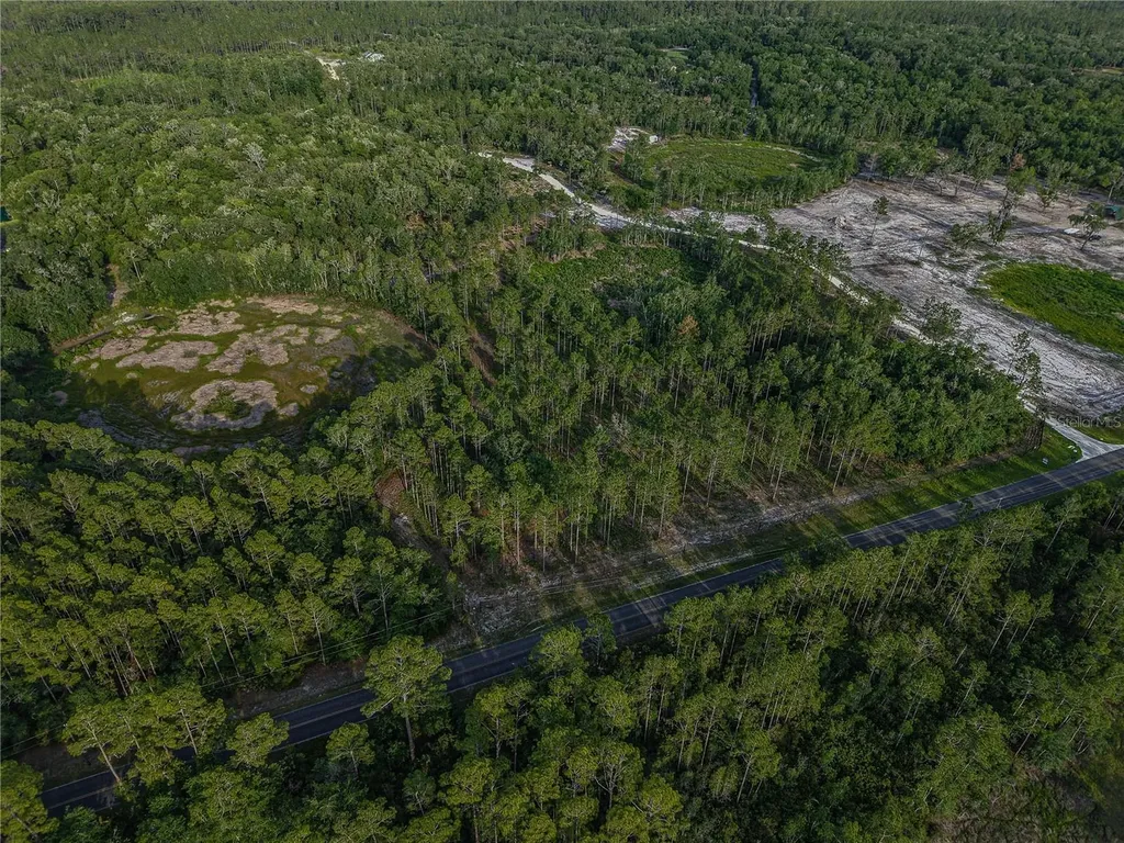 NE 150th Ave Road Fort Mc Coy FL 32134