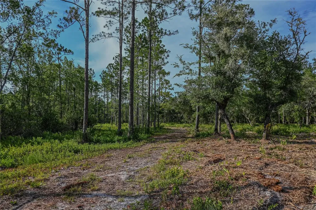 NE 150th Ave Road Fort Mc Coy FL 32134
