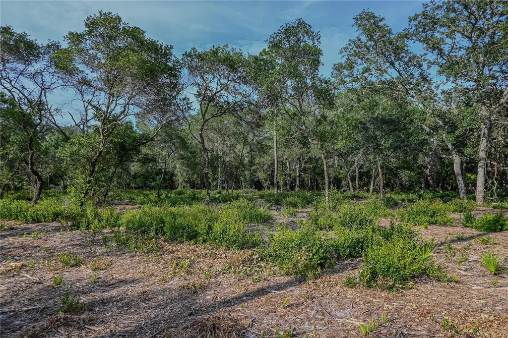 NE 150th Ave Road Fort Mc Coy FL 32134
