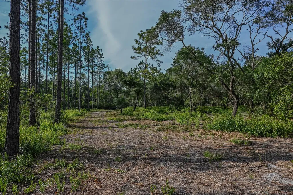NE 150th Ave Road Fort Mc Coy FL 32134