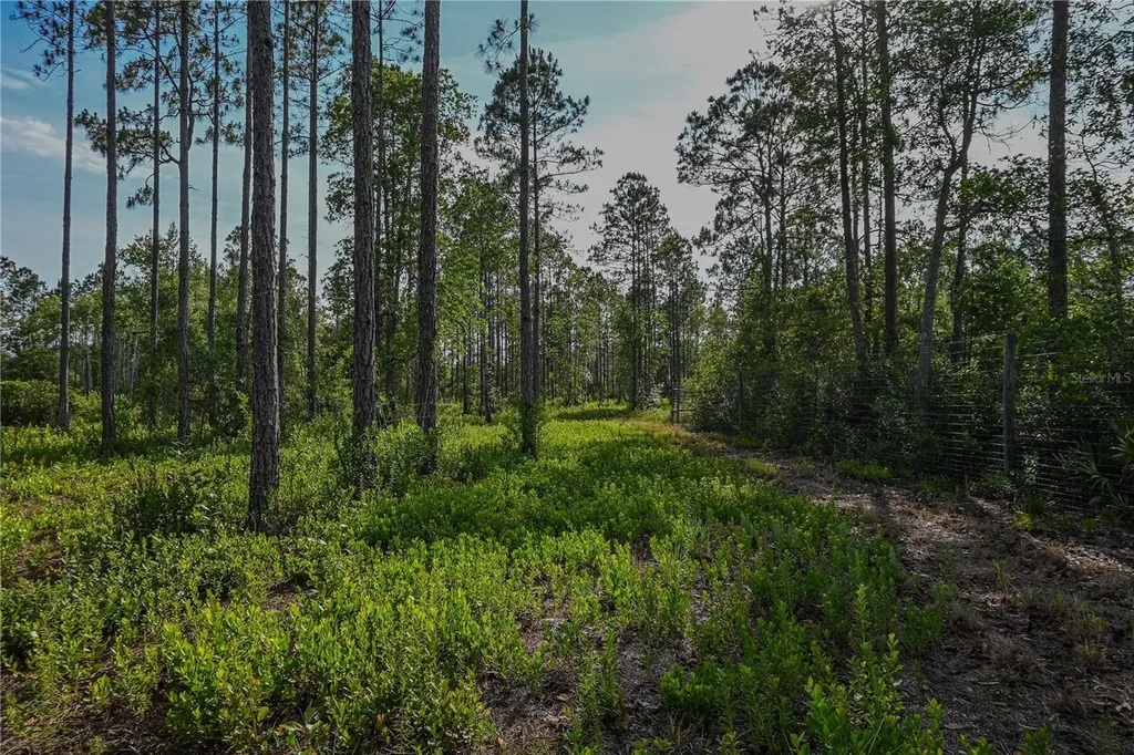 NE 150th Ave Road Fort Mc Coy FL 32134