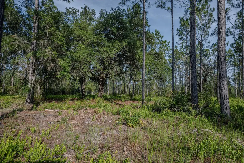 NE 150th Ave Road Fort Mc Coy FL 32134