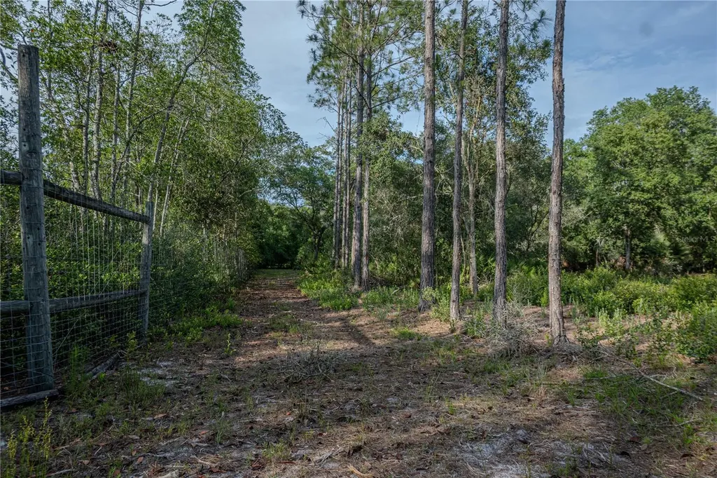 NE 150th Ave Road Fort Mc Coy FL 32134
