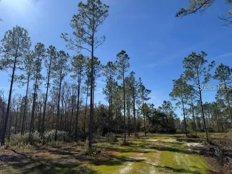 NE 150th Avenue Road Fort Mc Coy FL 32134