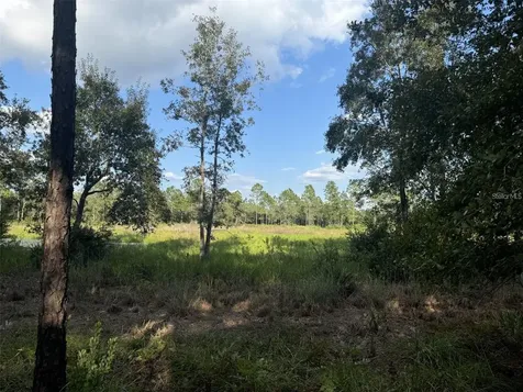 NE 150th Avenue Road Fort Mc Coy FL 32134