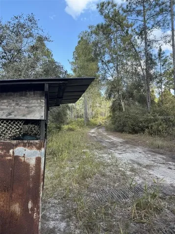 NE 150th Avenue Road Fort Mc Coy FL 32134