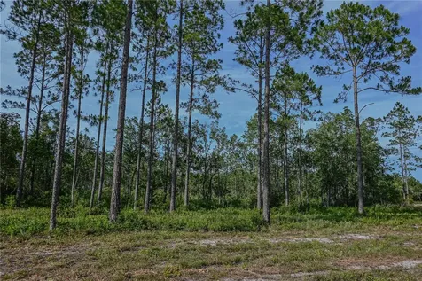 NE 150th Ave Road Fort Mc Coy FL 32134