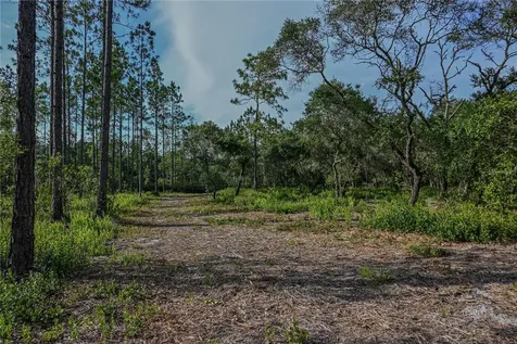 NE 150th Ave Road Fort Mc Coy FL 32134