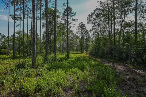 NE 150th Ave Road Fort Mc Coy FL 32134