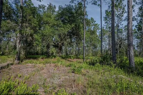 NE 150th Ave Road Fort Mc Coy FL 32134