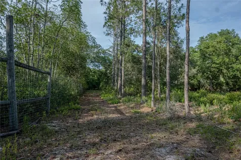 NE 150th Ave Road Fort Mc Coy FL 32134