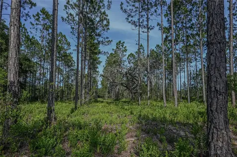 NE 150th Ave Road Fort Mc Coy FL 32134