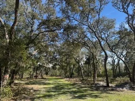 NE 150th Avenue Road Fort Mc Coy FL 32134