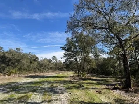 NE 150th Avenue Road Fort Mc Coy FL 32134