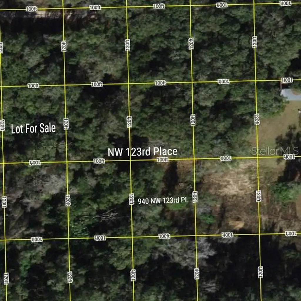 Tbd NW 123rd Place Citra FL 32113