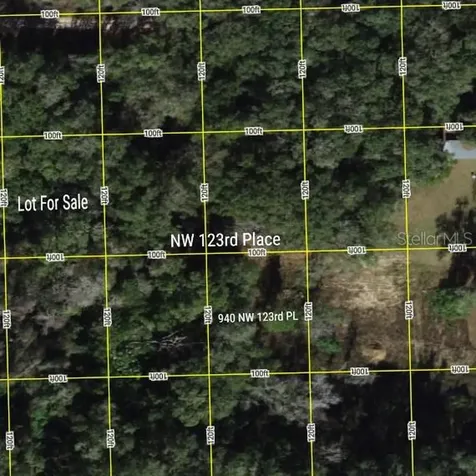 Tbd NW 123rd Place Citra FL 32113