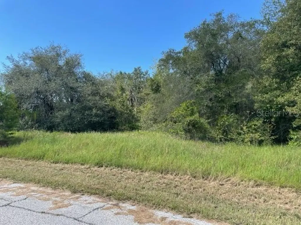 Kissimmee Way Kissimmee FL 34759