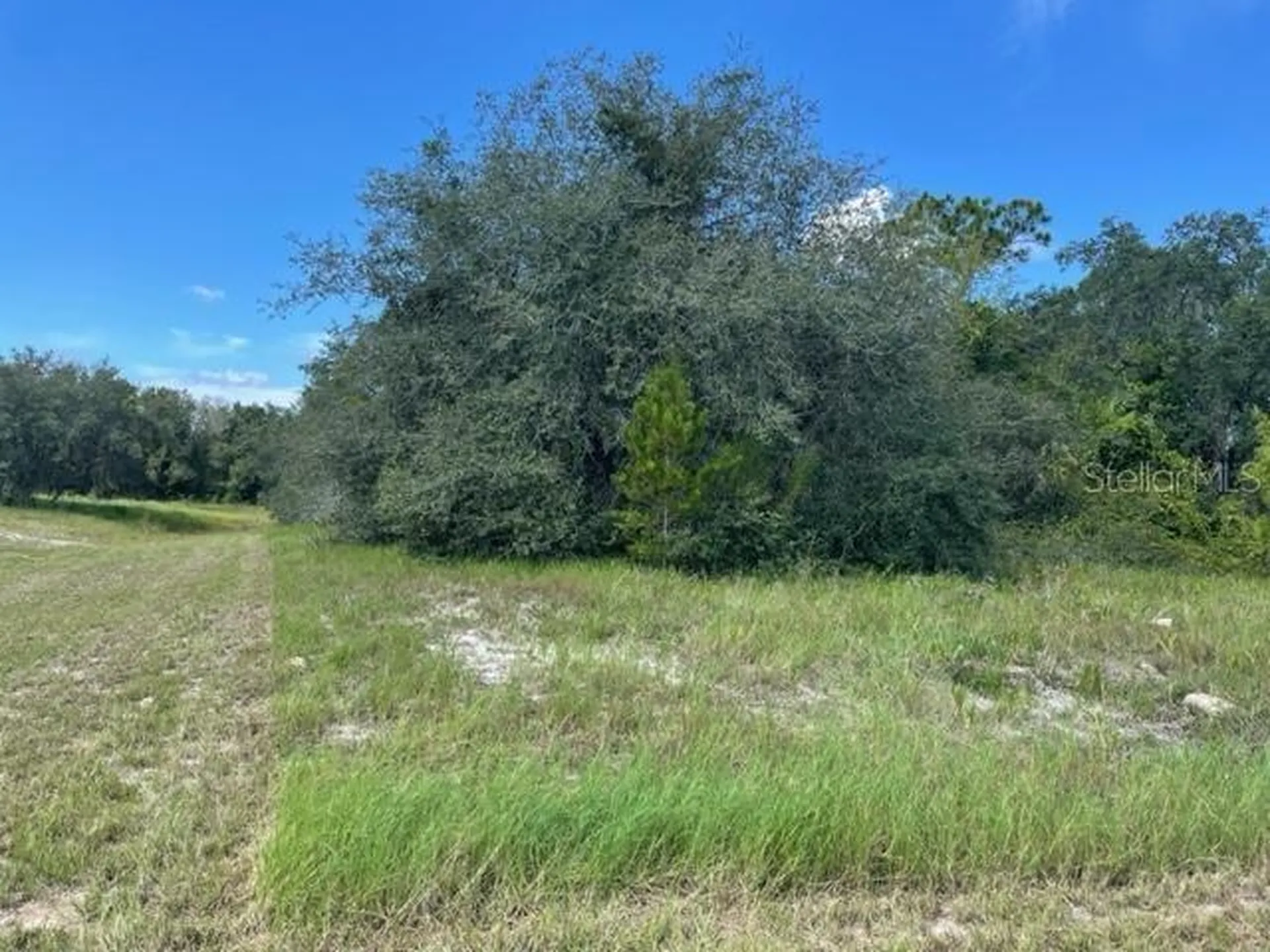 Kissimmee Way Kissimmee FL 34759