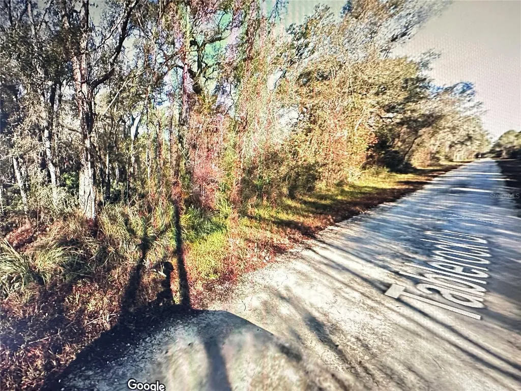 Table Rock Drive Webster FL 33597