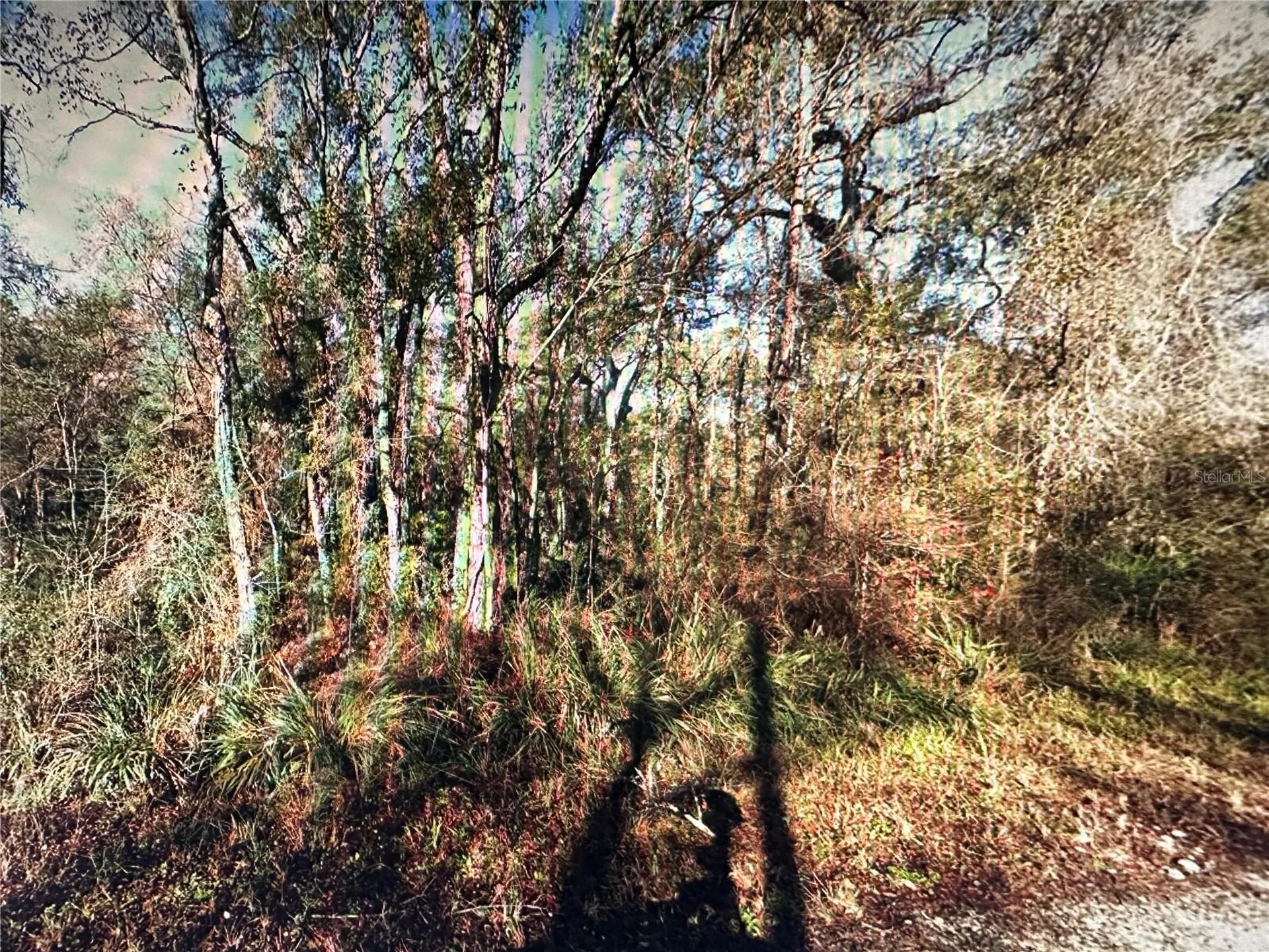 Table Rock Drive Webster FL 33597