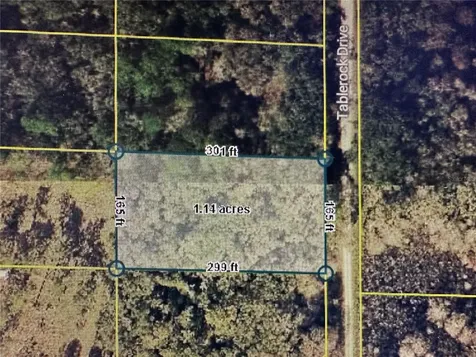 Table Rock Drive Webster FL 33597